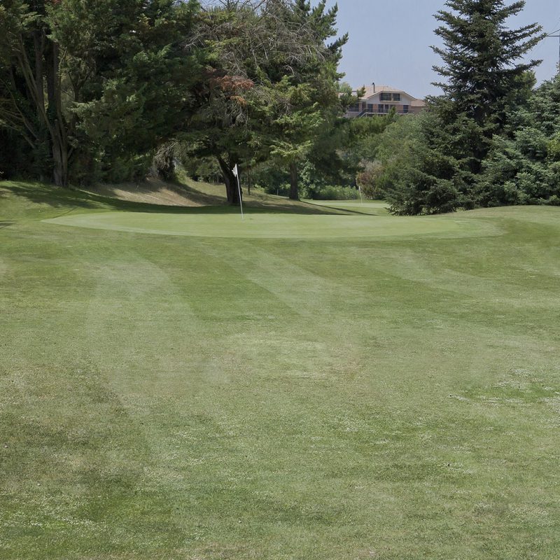 El Camp Pitch and Putt Vallromanes